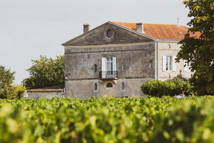 Maison de maître en pierre calcaire au milieu des vignes
